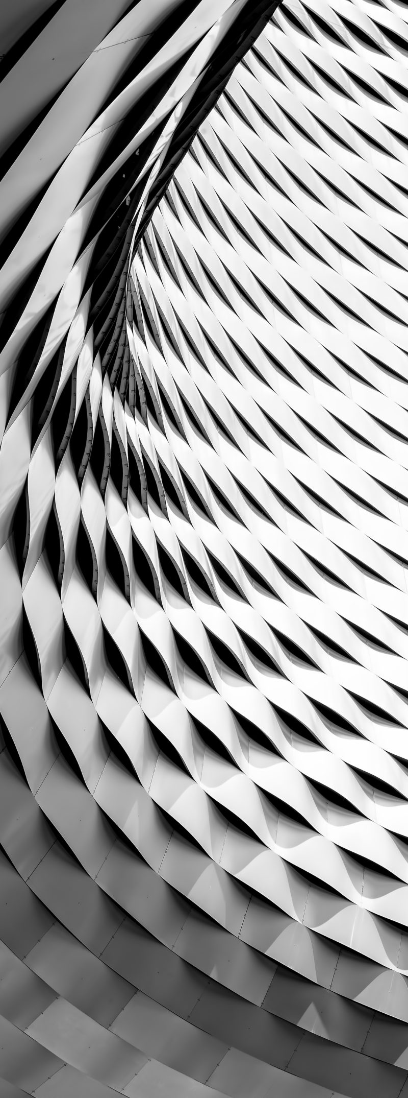 ricardo-gomez-angel-176777